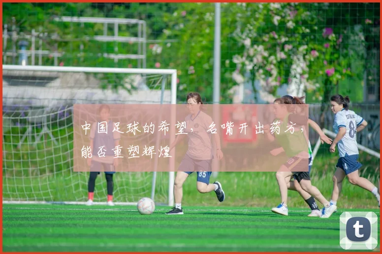 中国足球的希望，名嘴开出药方，能否重塑辉煌