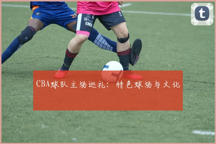 CBA球队主场巡礼：特色球场与文化